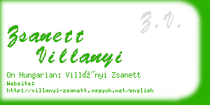 zsanett villanyi business card